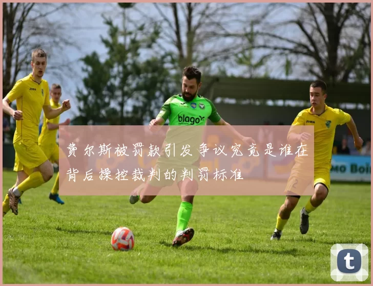 费尔斯被罚款引发争议究竟是谁在背后操控裁判的判罚标准